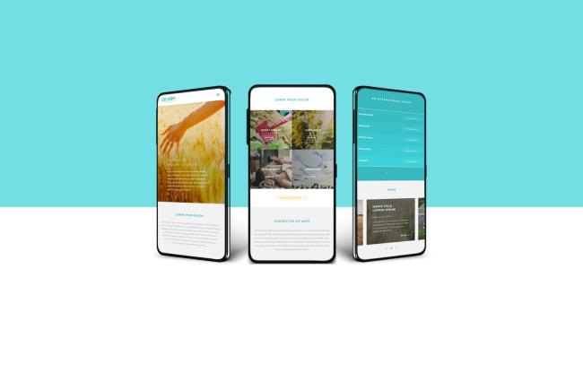 sbm version mobile du site